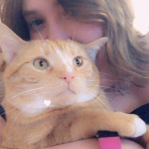 Meet your Posher, Lacey